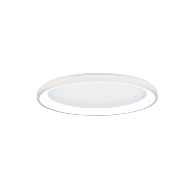 42044-B-White