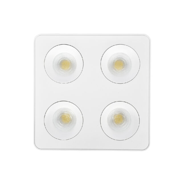 X00290W