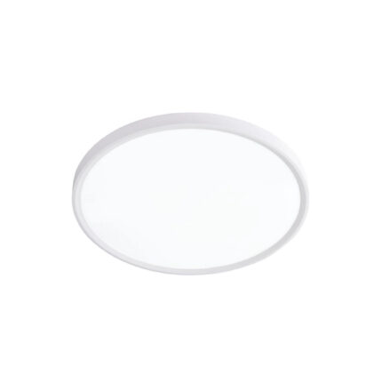 42036-B-White