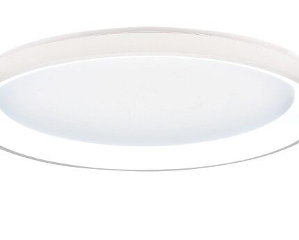 42044-C-White