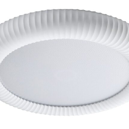 42054-White