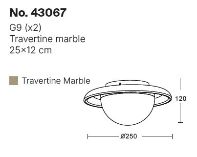43067-leptomeries