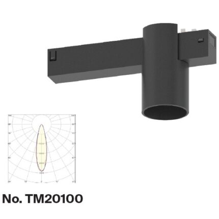 TM20100