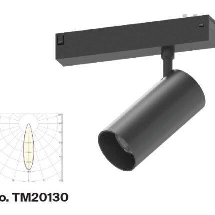 TM20130