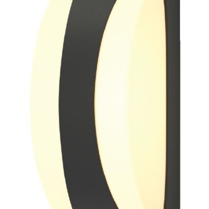 80203644