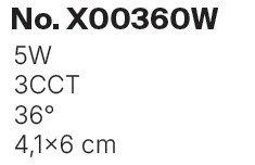 X00360-white-leptomeries