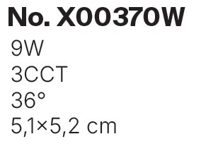 X00370-white-leptomeries